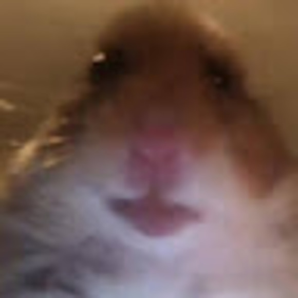 emilysrsong